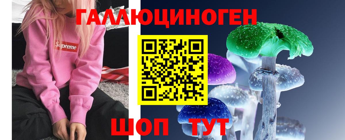 Псилоцибиновые грибы Cubensis Зима